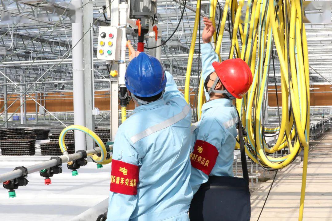 草海機場最新動態(tài)揭秘，建設進展、航班信息及未來展望