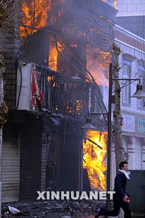 西藏最新事件，雪域高原的溫馨日常觀察