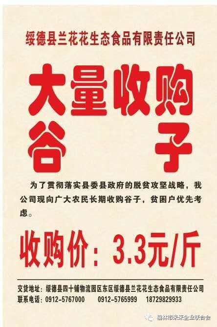 淄川最新財務(wù)招聘，職業(yè)發(fā)展的理想選擇