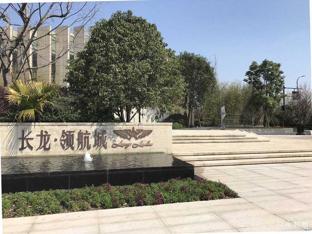 長龍領(lǐng)航最新動態(tài)，駕馭變革，開啟知識海洋的勵志之旅