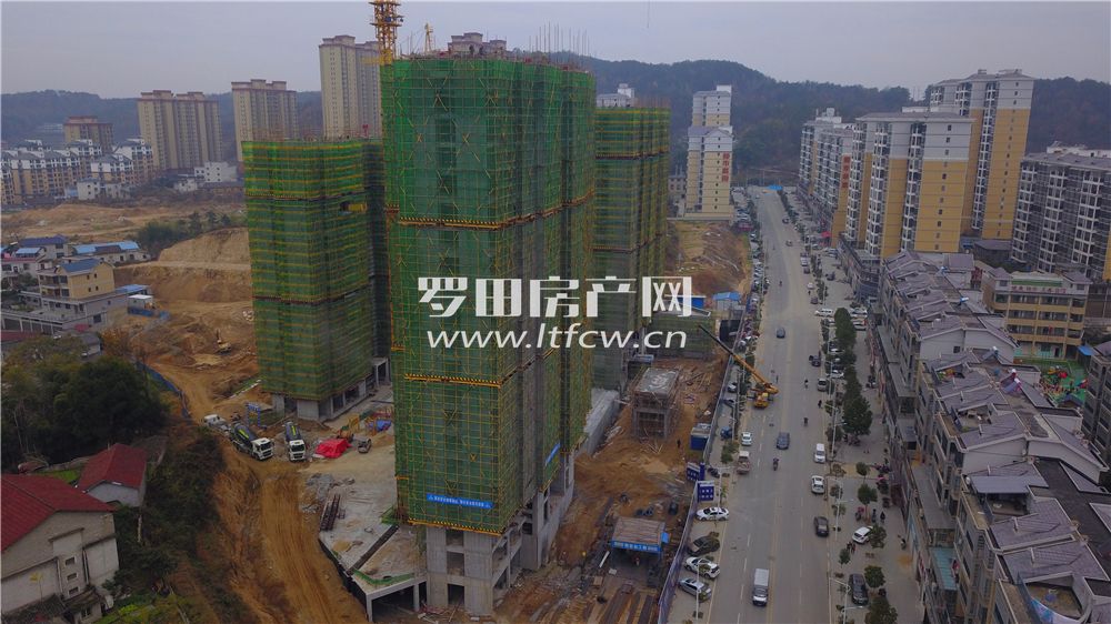 羅田最新房價揭秘，洞悉市場動態(tài)，掌握房價走勢！