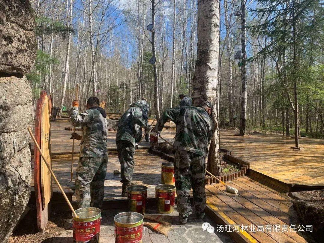 探尋神秘寶石世界的獨特魅力，最新奇石新聞報道