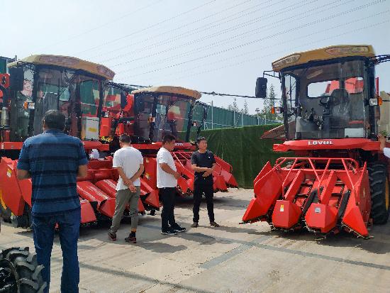 邳州玉米最新價(jià)格，時(shí)代見證下的市場(chǎng)動(dòng)態(tài)