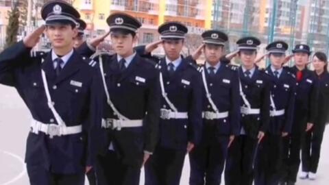 寧國最新保安招聘及其探討，行業(yè)現(xiàn)狀與發(fā)展趨勢分析