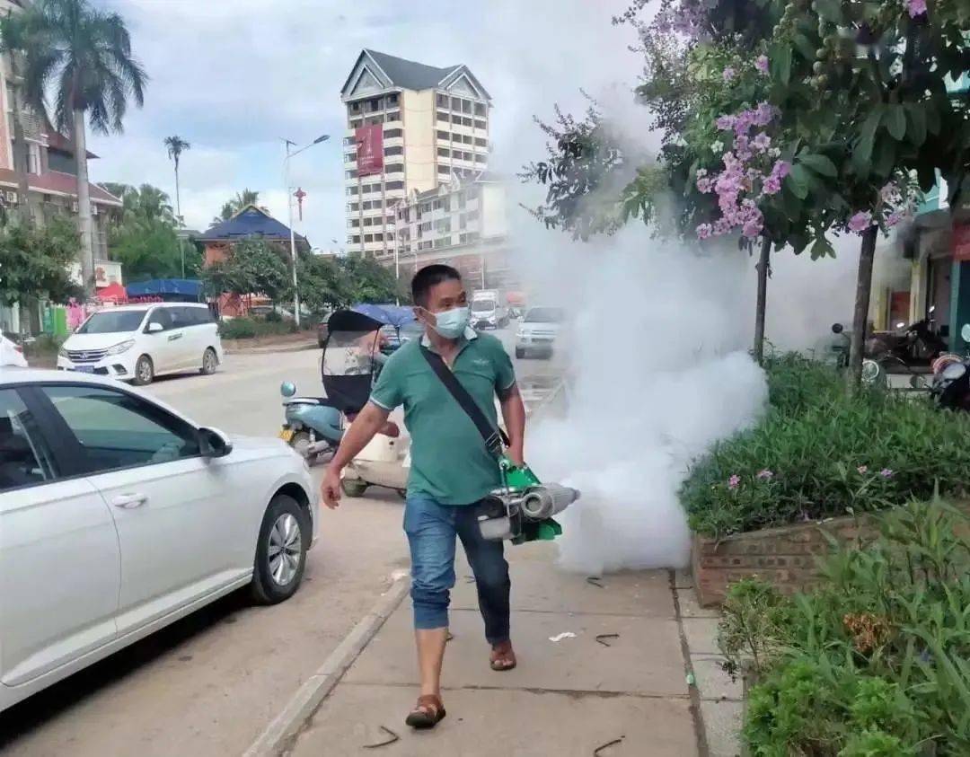 景洪登革熱最新疫情動態(tài)，挑戰(zhàn)與自信之光的博弈