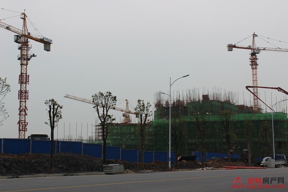 池州麒麟公館最新動態(tài)揭秘，最新進展與資訊更新