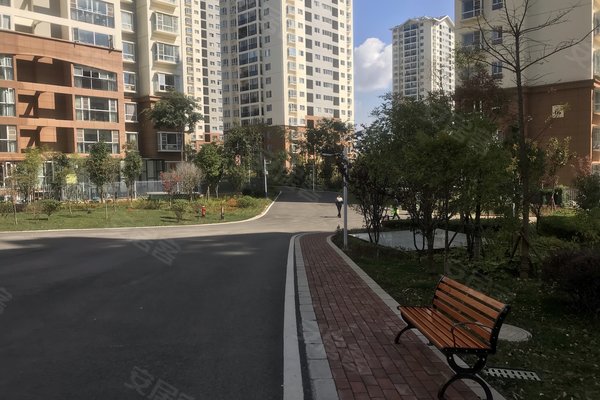 建禮家園最新動態(tài)，小巷中的隱藏瑰寶揭秘