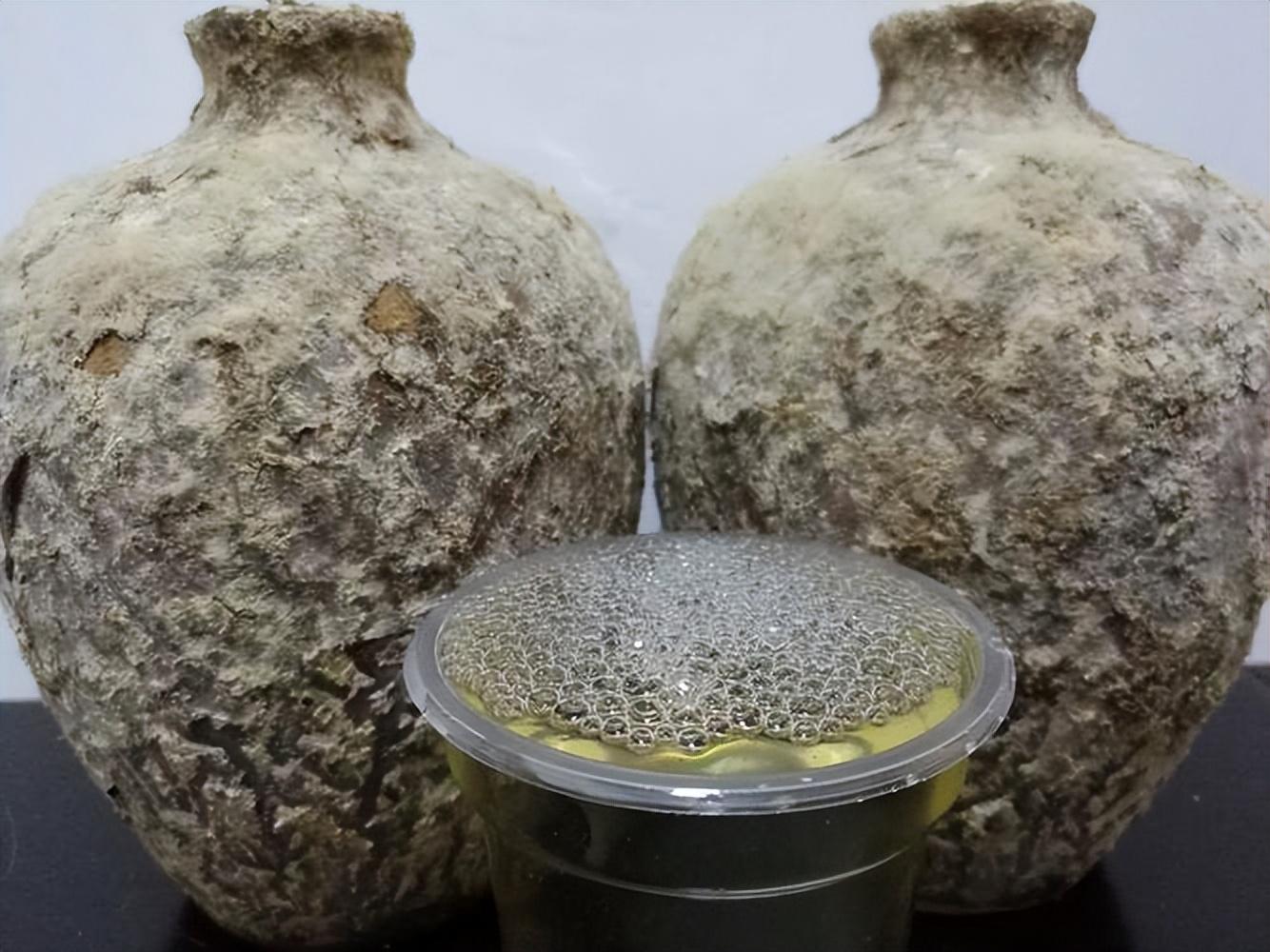 仁懷房屋出售最新信息，科技與家居融合，未來家居新體驗(yàn)重磅推出