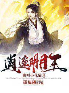 時代之光下的璀璨篇章，明月珰最新連載熱議熱議熱議！