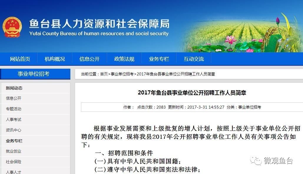 魚臺(tái)最新招聘信息大全，求職步驟指南與招聘信息更新速遞