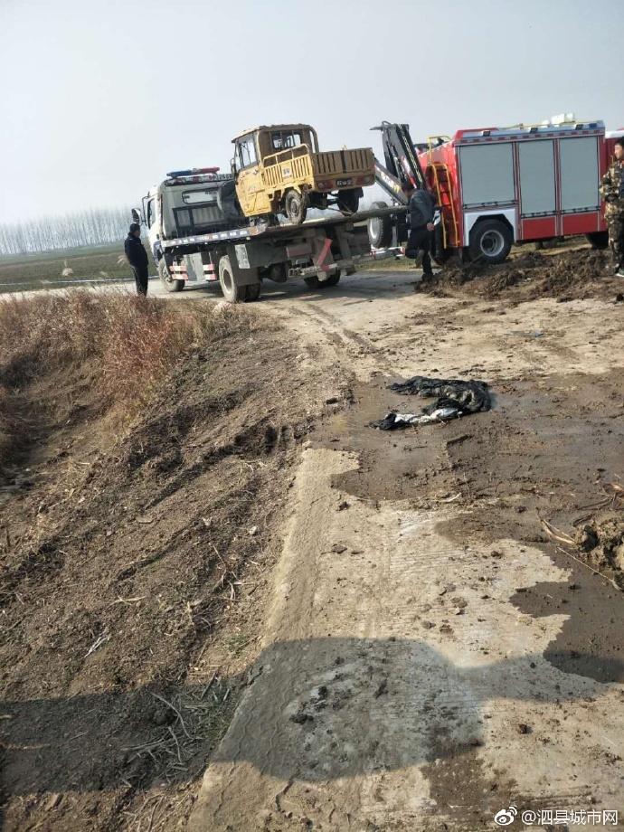 泗縣車禍悲劇，警醒與深思背后的最新新聞報(bào)道