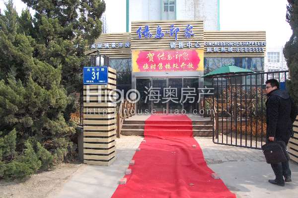 青島大洋花園最新動(dòng)態(tài)，科技重塑未來花園的極致體驗(yàn)