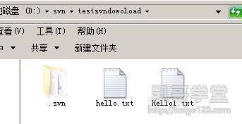 Jav最新網址探索，小巷深處的獨特風味之旅