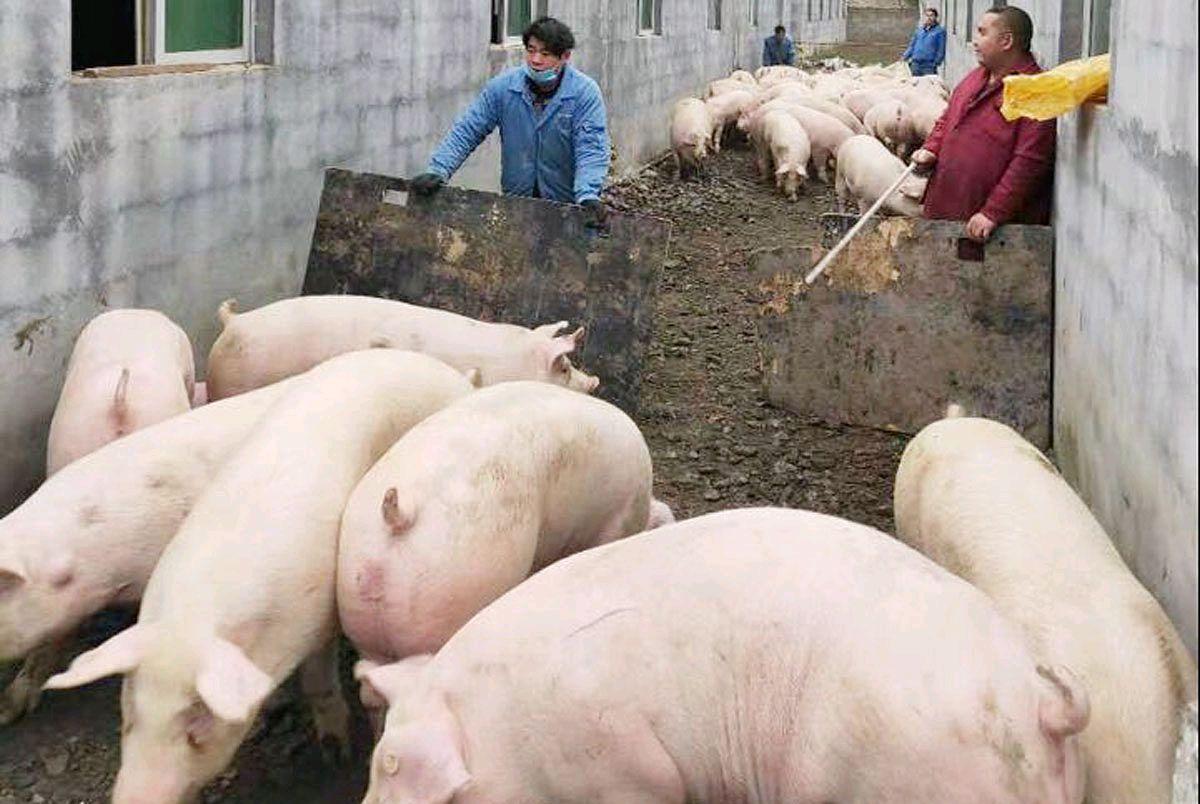 工程廠房燈具 第283頁(yè)