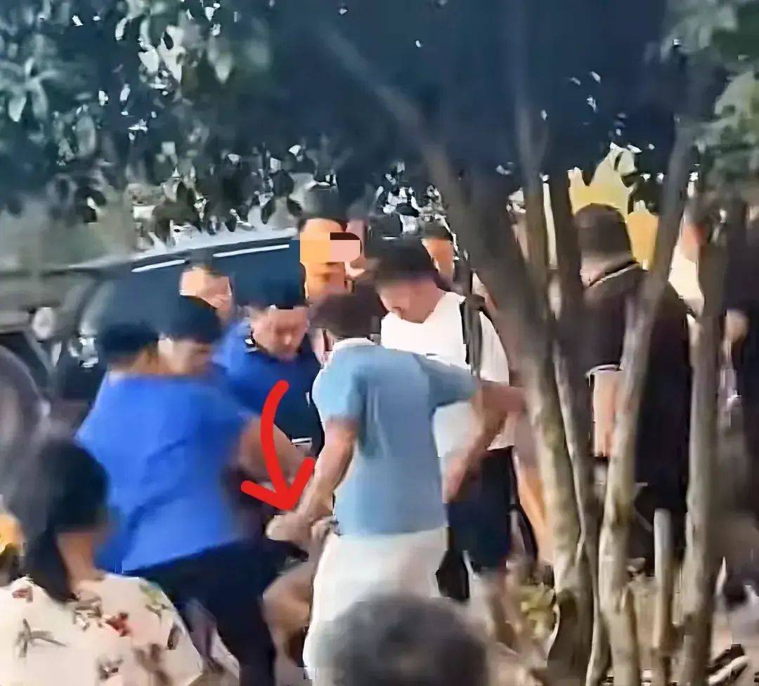 一打假博主團隊遭商戶圍毆,農(nóng)林經(jīng)濟管理_CNC9.631內容版