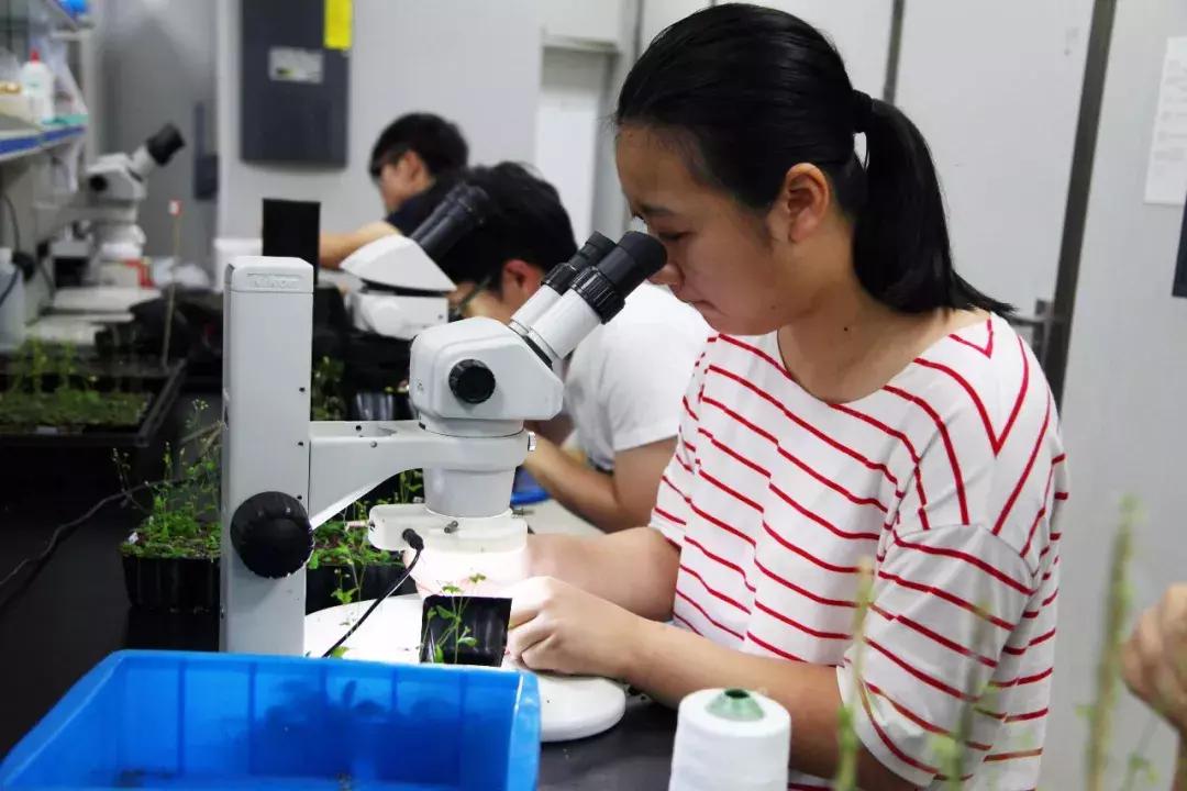 最新學科評估,最新學科評估引領科技革新——未來生活觸手可及的高科技產品介紹