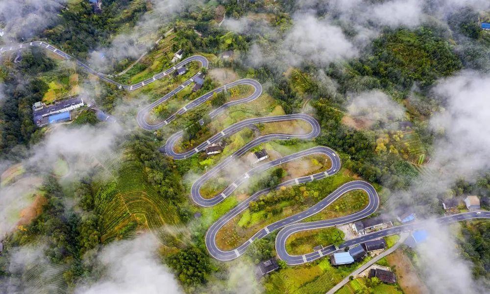 奉節(jié)云霧鄉(xiāng)的最新動(dòng)態(tài)與溫馨日常，云霧中的快樂(lè)時(shí)光