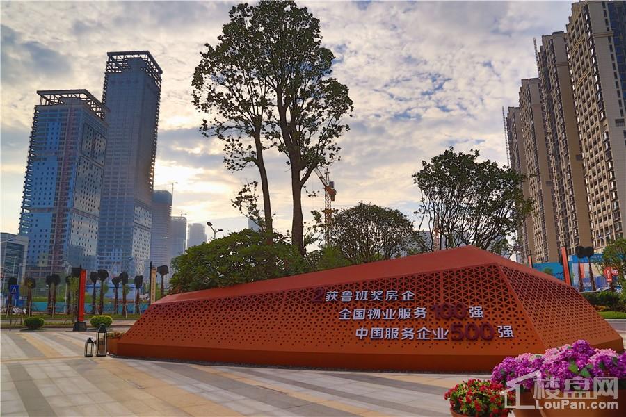 南寧彰泰城最新動(dòng)態(tài)，解讀其最新發(fā)展及影響的一種觀點(diǎn)分析