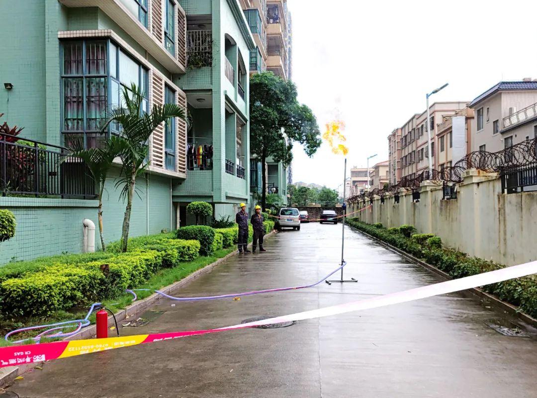 中山東鳳佛奧最新動(dòng)態(tài)，自然美景的探索之旅，尋找內(nèi)心平和與寧靜