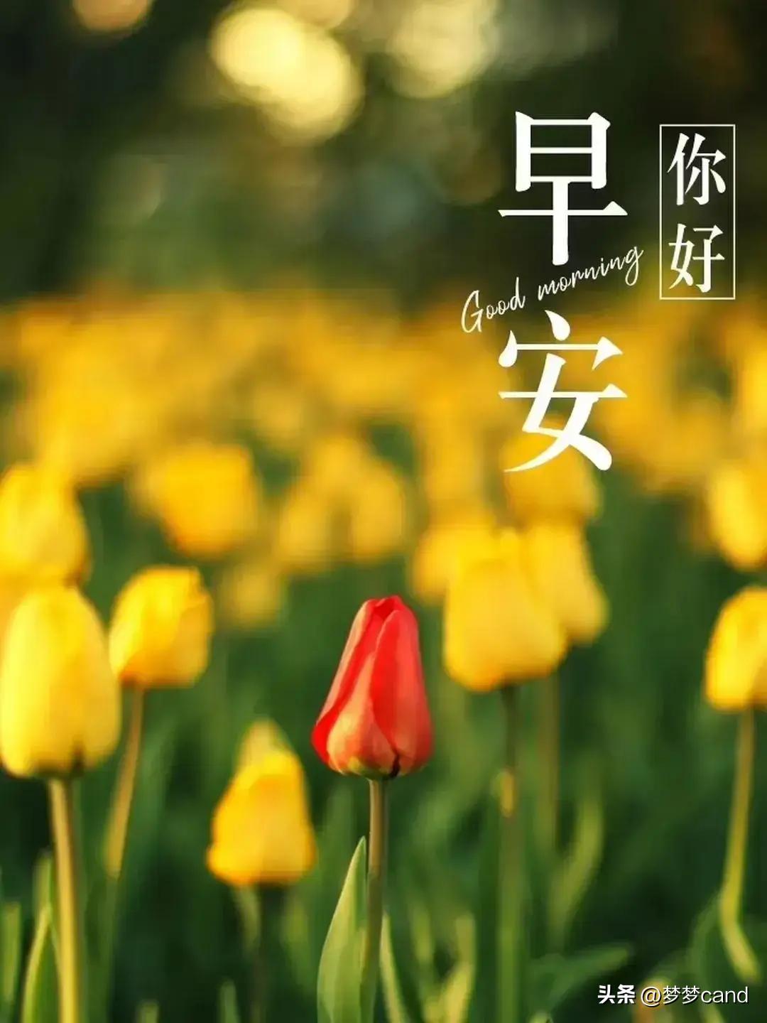 2024年天天彩資料免費(fèi)大全,策略規(guī)劃_設(shè)計(jì)師版81.158