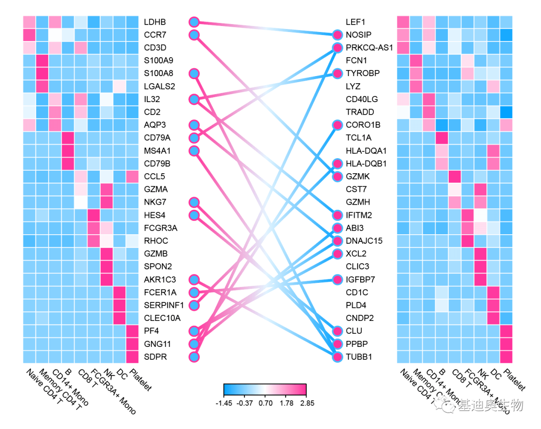 2024新澳門(mén)天天彩期期精準(zhǔn),高效性設(shè)計(jì)規(guī)劃_云端版11.924