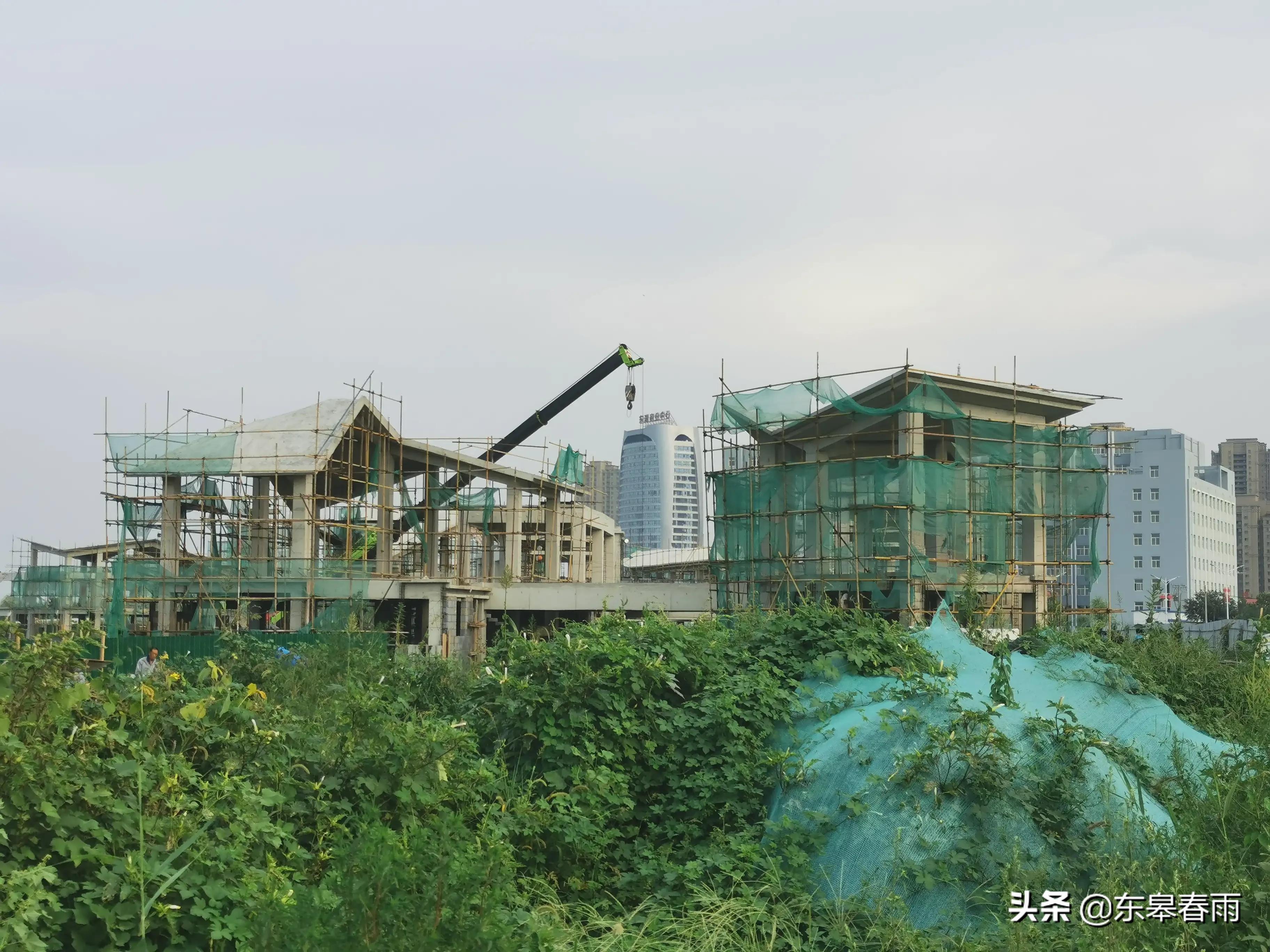 保定東湖一號(hào)最新動(dòng)態(tài)與歡樂日常體驗(yàn)