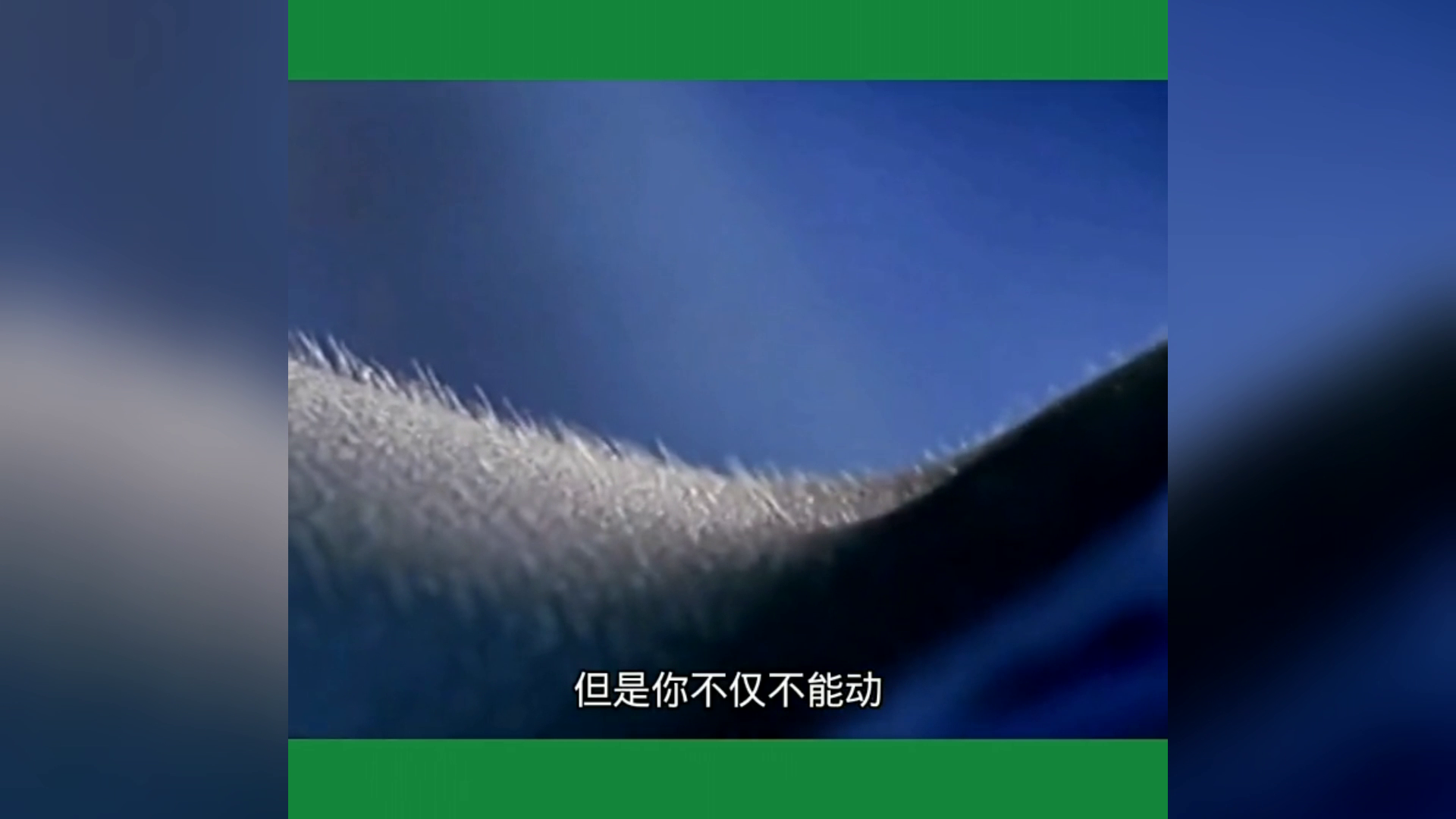 新澳門(mén)最精準(zhǔn)正最精準(zhǔn),科學(xué)分析解釋說(shuō)明_桌面款98.781