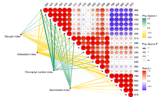 新澳門資料大全正版資料？奧利奧,科學(xué)解釋分析_增強(qiáng)版40.269