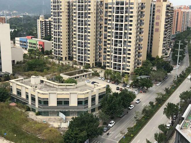 膠南山水雅居最新動(dòng)態(tài)，鄰里日常趣事與情感紐帶分享