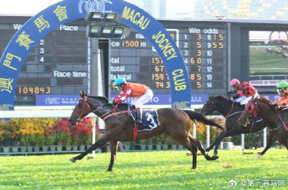 2024年澳門特馬今晚,標(biāo)準(zhǔn)執(zhí)行具體評(píng)價(jià)_知識(shí)版49.560