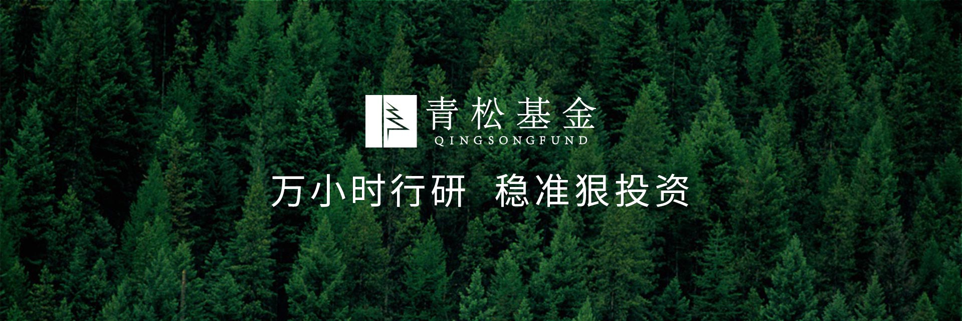 長青樹眾籌最新動態(tài)，背景、發(fā)展與時代地位探索