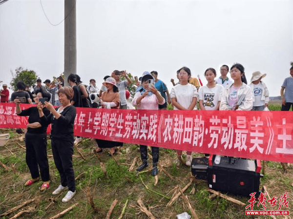 桃源木塘垸鄉(xiāng)新動態(tài)，趣事連連，真摯友情綻放鄉(xiāng)間