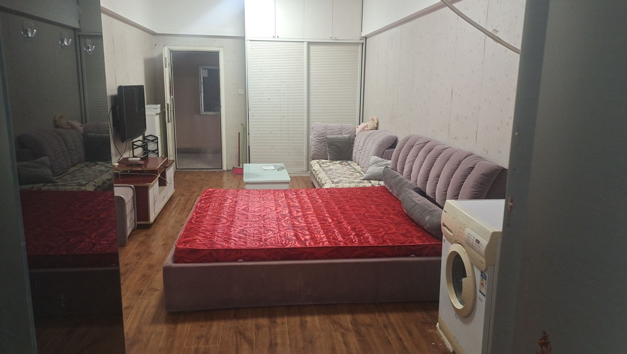 袁花最新二手房，科技宅的理想生活之選，前沿房源搶購體驗(yàn)