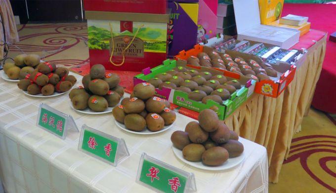 嘉興對(duì)接上海最新進(jìn)展，城市崛起中的自信與成就感展現(xiàn)新面貌