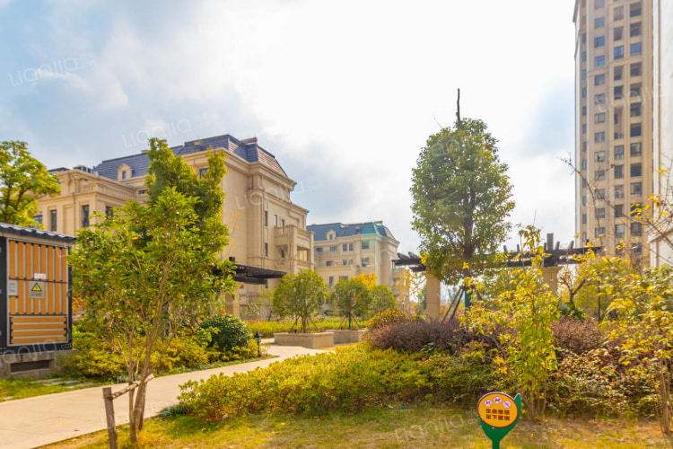 塞納藍灣二期最新動態(tài)，變化中的學習之旅，自信與成就感的源泉啟航