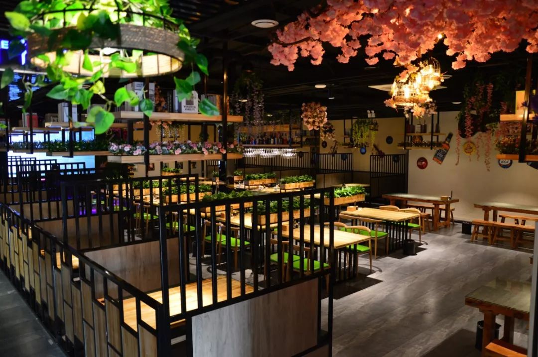 中餐廳最新一期音樂，熱門旋律與節(jié)目魅力的完美交融