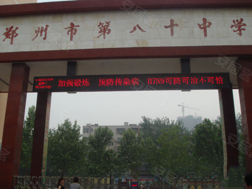 中原區(qū)九龍城最新動態(tài)深度解析，最新進(jìn)展與觀點闡述