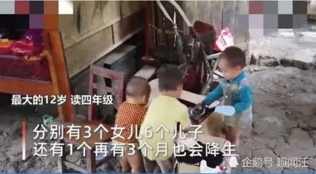 廣西最新預(yù)情，自然美景探索之旅，喚醒內(nèi)心平靜之旅