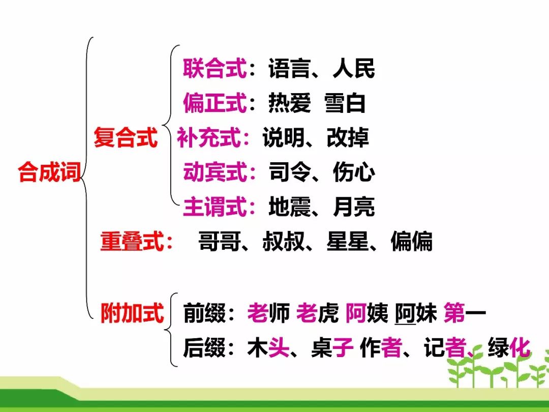 最新合成詞，語言發(fā)展的微觀視角探索