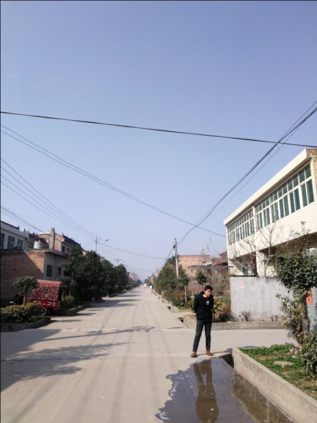 周至縣最新動態(tài)，發(fā)展脈搏與時代步伐的交融進展