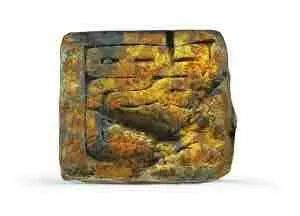 余厚蜀最新動態(tài)，科技前沿探索與行業(yè)創(chuàng)新引領(lǐng)