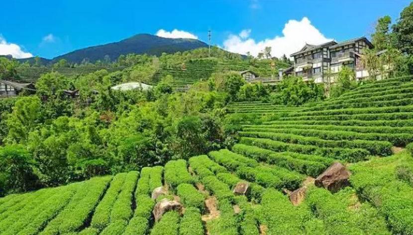 深圳驚喜活動(dòng)溫情之旅，日常中的特別瞬間