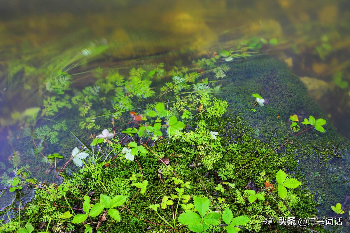 南山高樓崛起，背景、發(fā)展與時代地位全景解析
