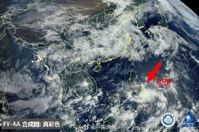 臺風(fēng)鸚鵡的最新動態(tài)，逆風(fēng)翱翔的力量與學(xué)習(xí)魅力