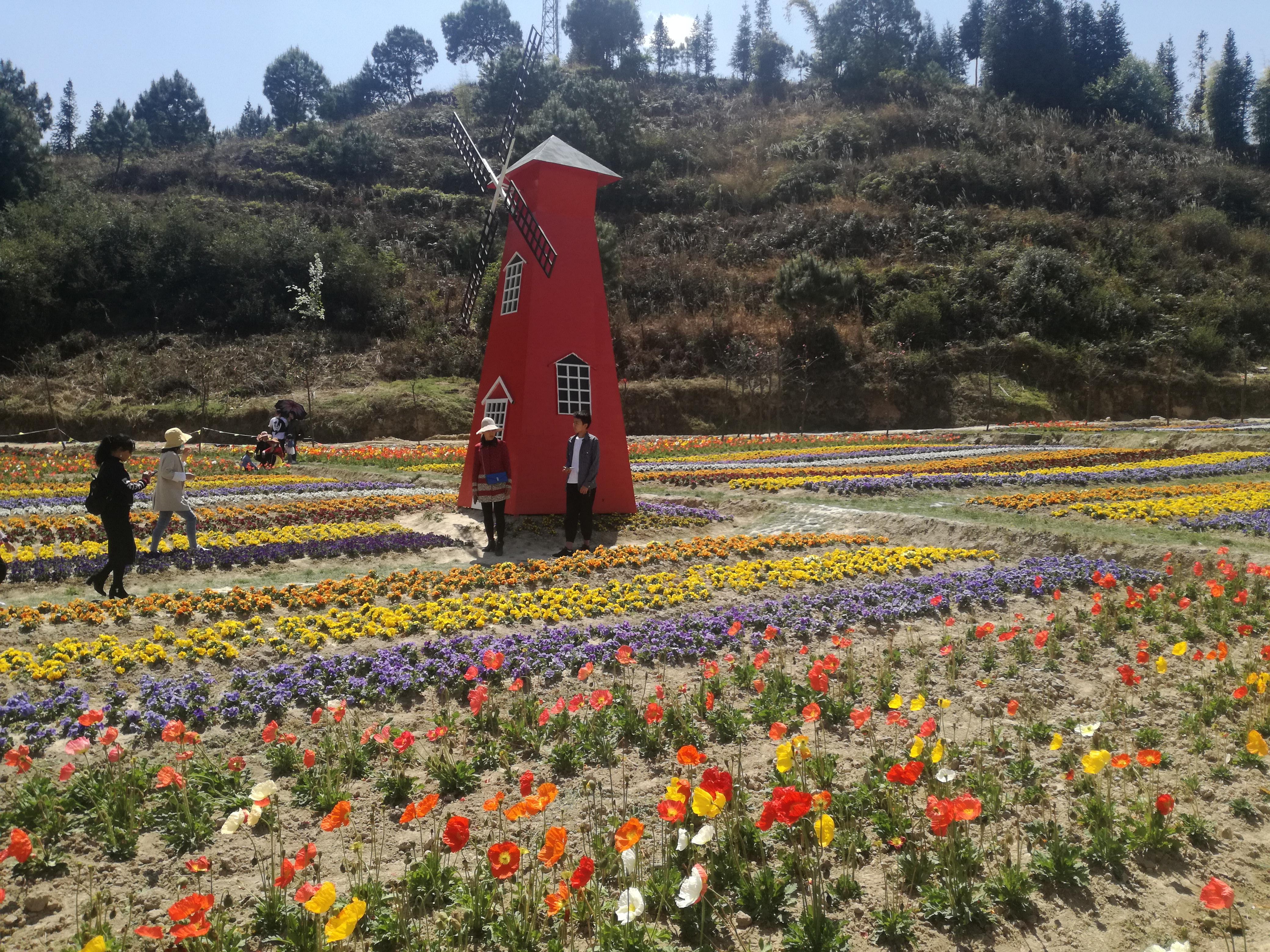 臨滄市最新探索，自然美景之旅，尋找內(nèi)心平和的旅程