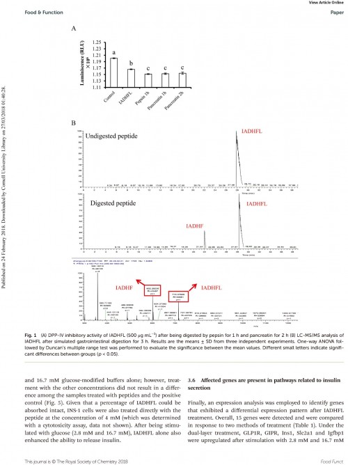 糖肽最新文獻(xiàn)，自然之旅的心靈探尋之旅，尋找內(nèi)心的寧?kù)o