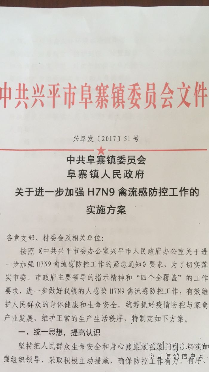 順義信鴿公棚最新通告,順義信鴿公棚最新通告——任務(wù)完成指南