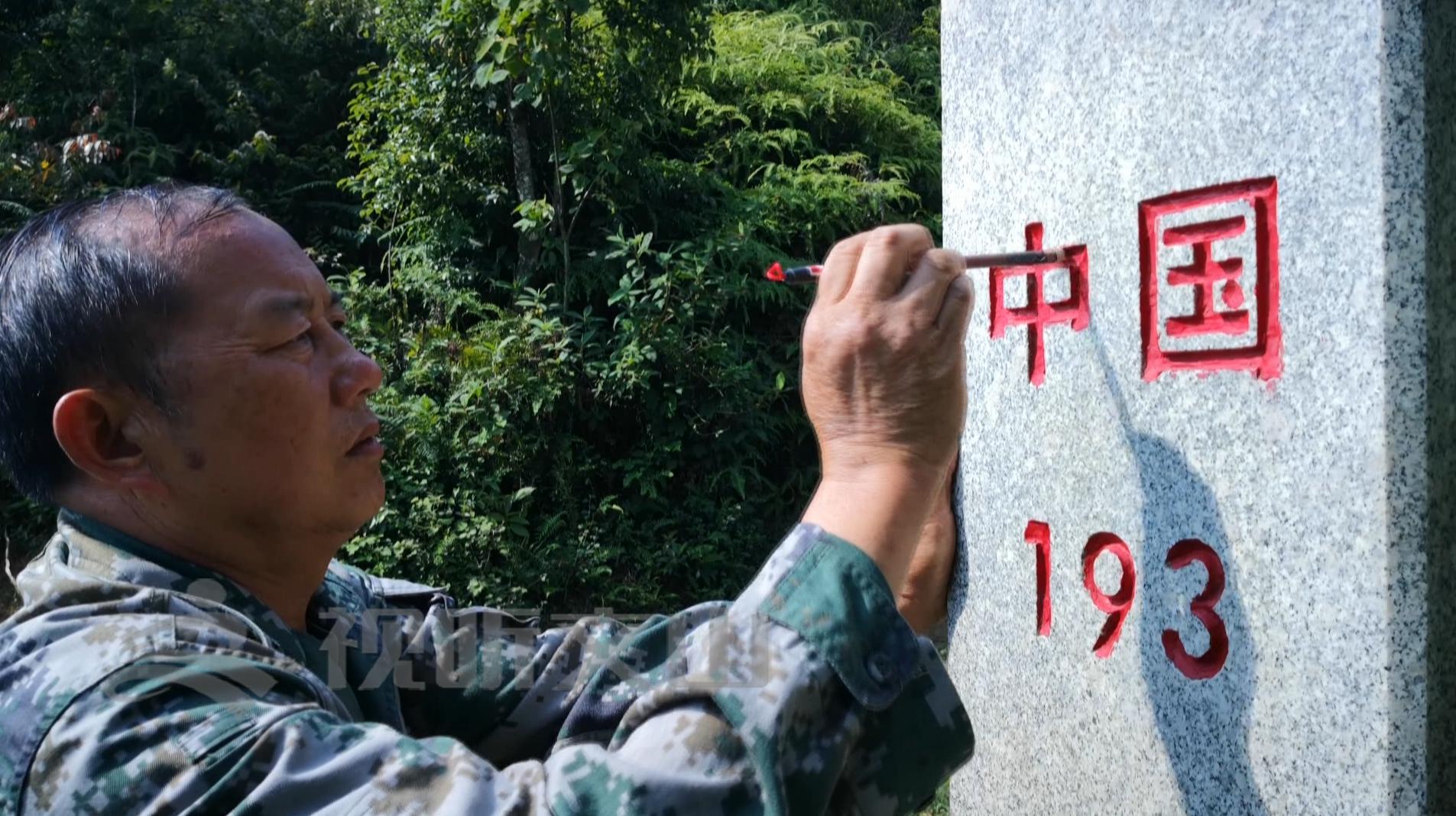 文山黃牛打架比賽，傳統(tǒng)與爭(zhēng)議的碰撞