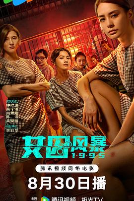 淘君爹最新影片，小巷深處的電影寶藏探索