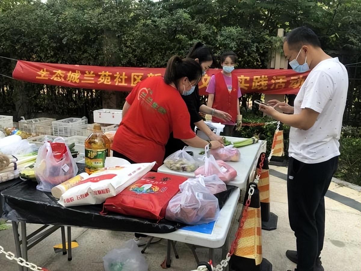 保利華潤紫云價格深度解析，探尋背后的故事與地位影響